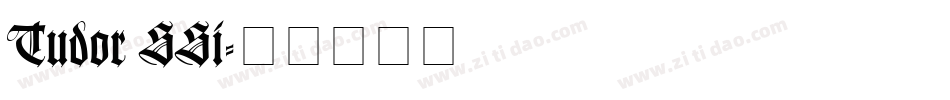 Tudor SSi字体转换